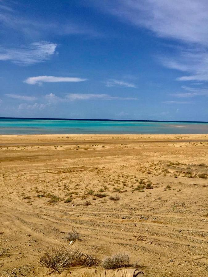 فندق مخيم رويال تورز أملج المظهر الخارجي الصورة